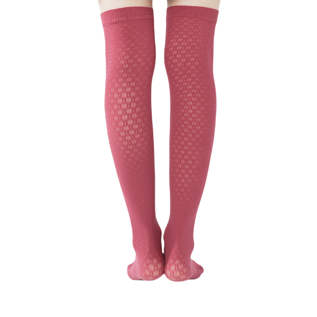 High-end limited edition! "Poison" Snow White's Apple, sexy mesh stockings